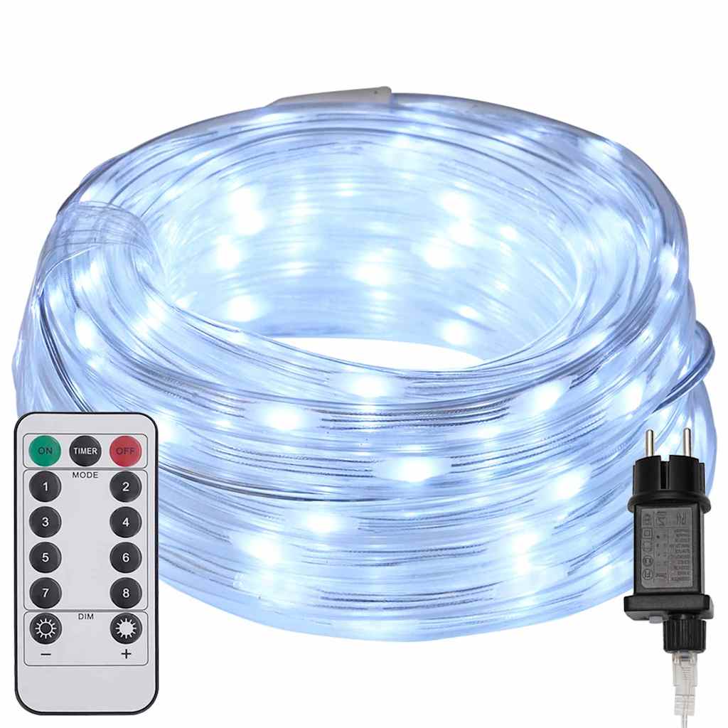Rope Light with 2400 LEDs Cold White 100 m PVC